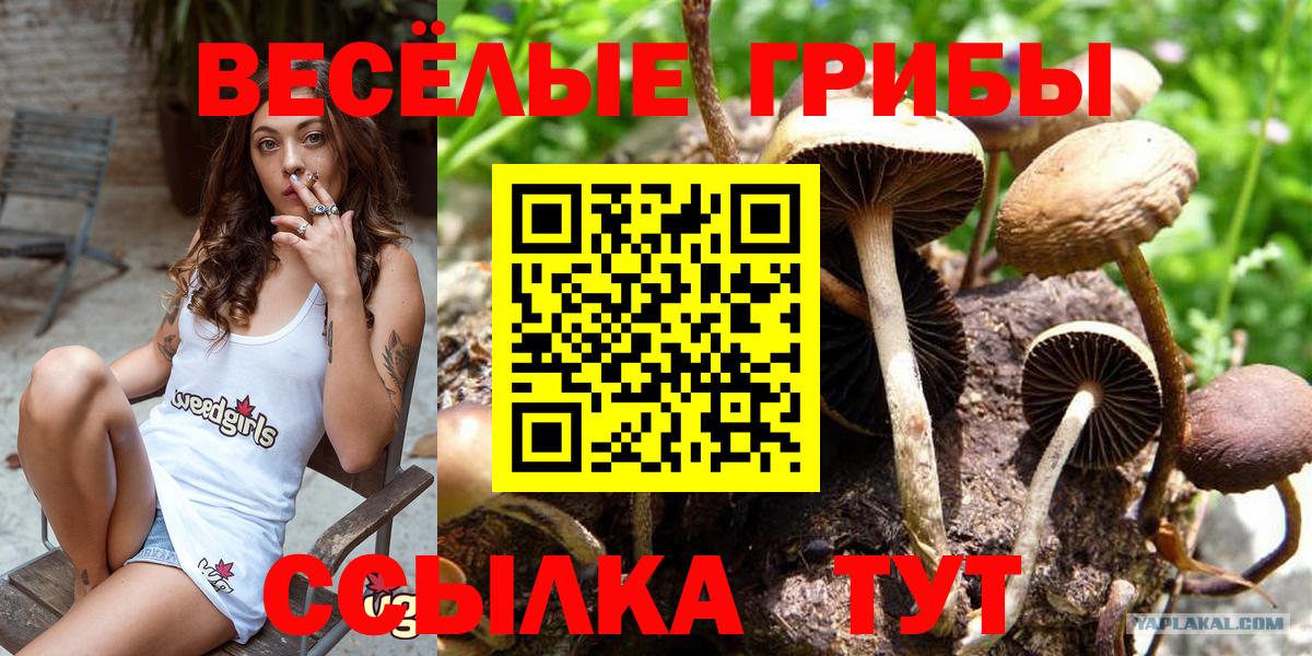 Псилоцибиновые грибы Magic Shrooms Саянск