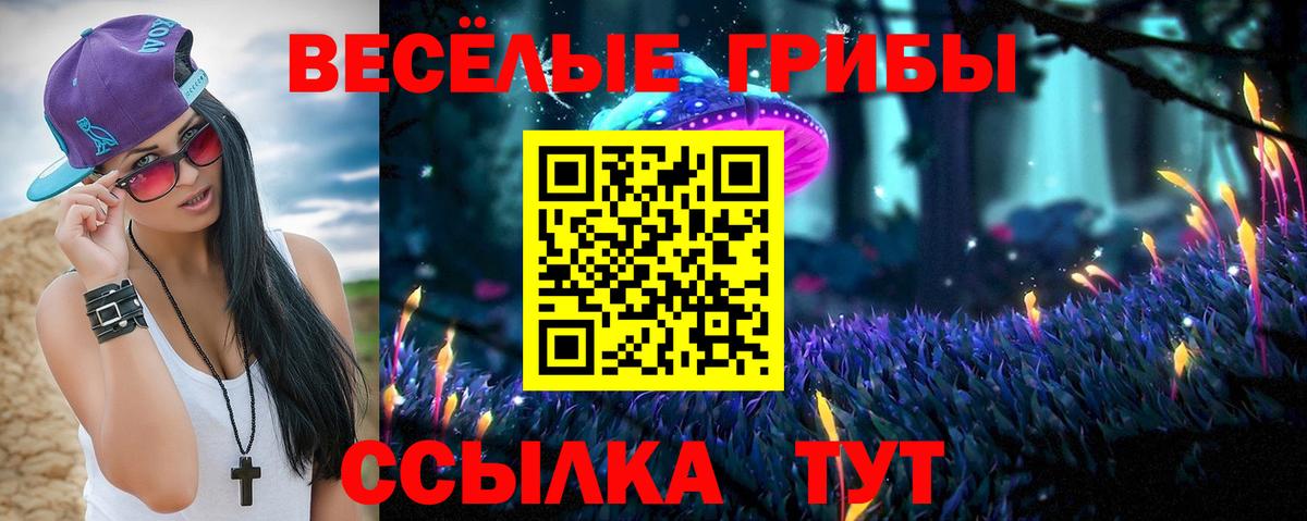 Псилоцибиновые грибы Cubensis  Вход с VPN  Саянск  Псилоцибиновые грибы MAGIC MUSHROOMS 