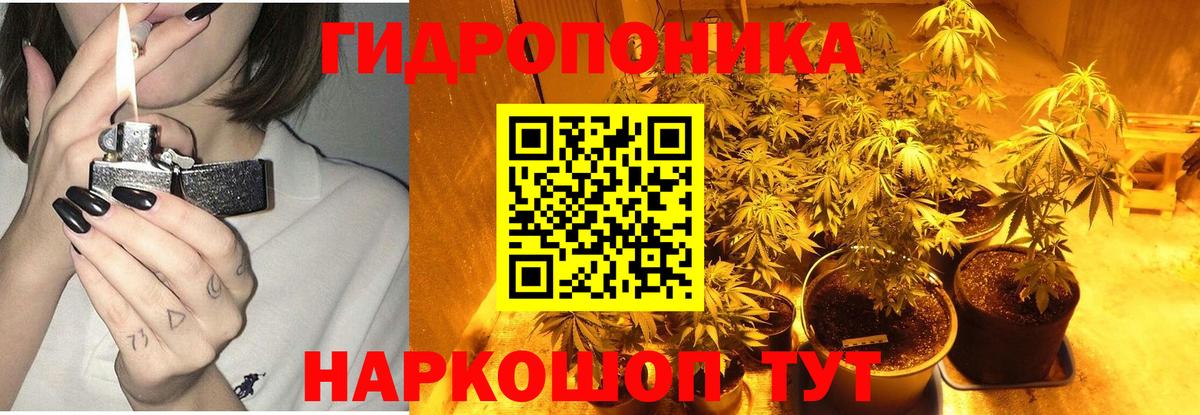 Марихуана план Саянск